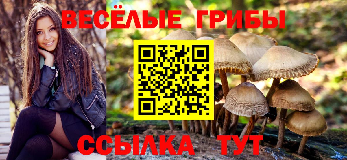 Псилоцибиновые грибы мухоморы  Галлюциногенные грибы Psilocybe  Новошахтинск  даркнет сайт  Вход с VPN 