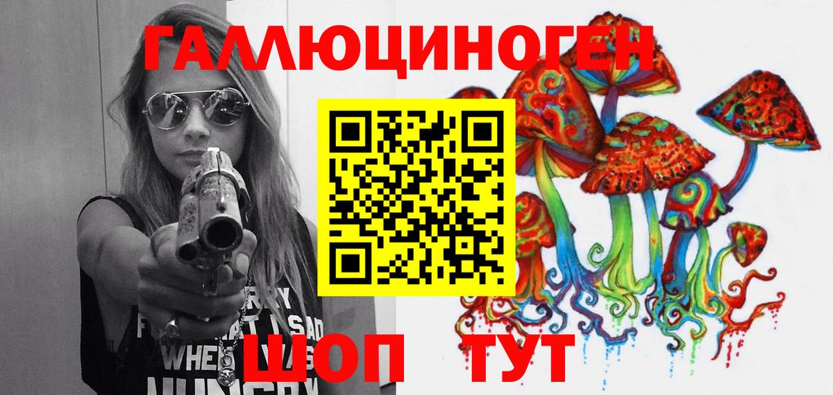 Псилоцибиновые грибы Psilocybine cubensis Новошахтинск